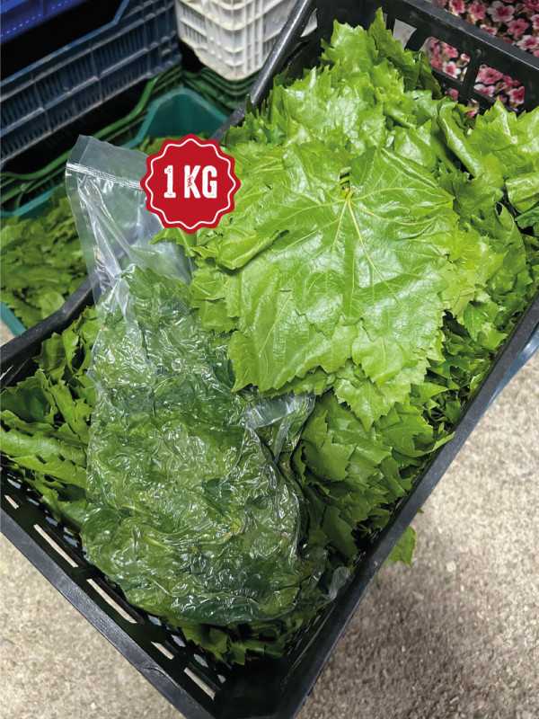 Vakumlu Taze Asma Yaprak 1 kg