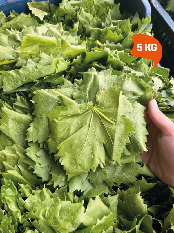 Vakumlu Taze Asma Yaprak 5 kg