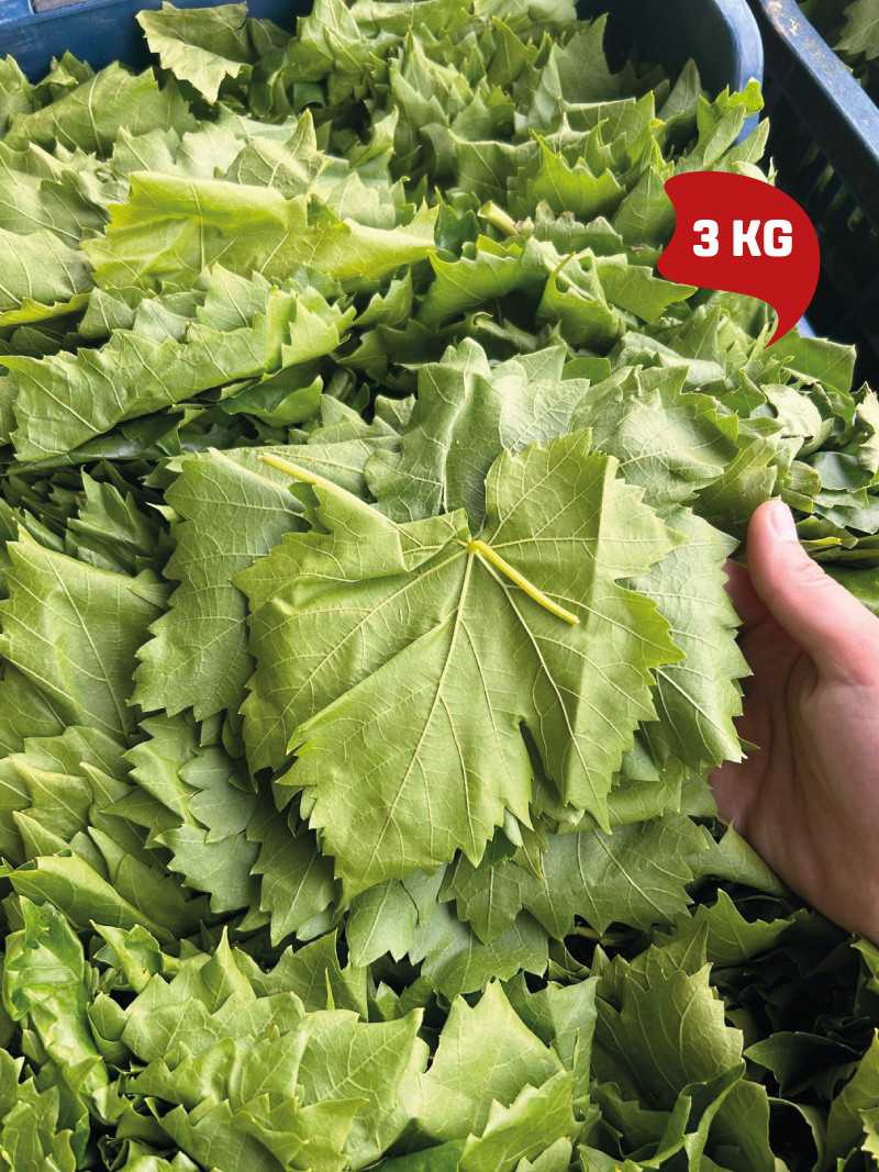 Vakumlu Taze Asma Yaprak 3 kg