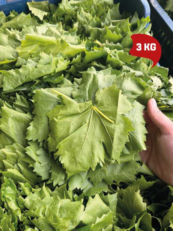 Vakumlu Taze Asma Yaprak 3 kg